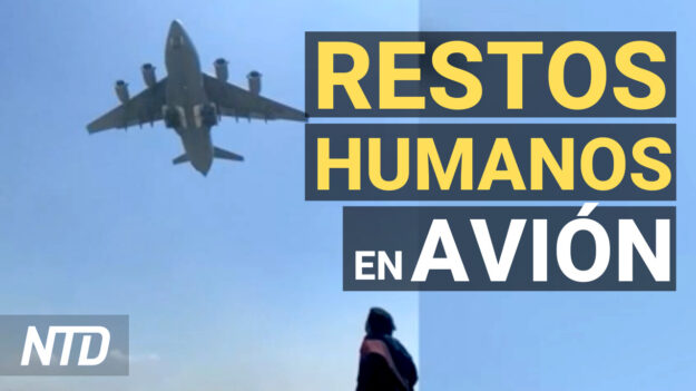 NTD Noticias: Hallan restos humanos en avión que partió de Kabul; Talibanes dicen que no habrá democracia