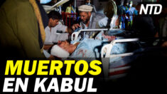NTD Noticias: Kabul: 13 militares y 170 civiles + muertos; Oficial que disparó a Babbitt revela identidad