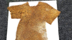 Descubren chaleco de cota de malla medieval de 800 años de antigüedad del periodo normando en Irlanda