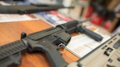 Corte de apelación confirma prohibición federal al porte de armas de extranjeros ilegales