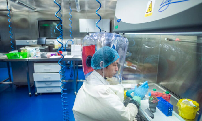 Trabajador dentro del laboratorio de nivel de seguridad P4 en Wuhan, capital de la provincia china de Hubei, el 23 de febrero de 2017. (Johannes Eisele/AFP vía Getty Images)