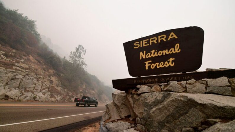 Un vehículo se adentra en el Bosque Nacional de la Sierra, al noreste de Fresno, en las faldas de las montañas de Sierra Nevada, bajo un cielo cubierto de humo del incendio de Creek en Auberry, en el condado de Fresno, el 11 de septiembre de 2020. (Frederic J. Brown/AFP vía Getty Images)