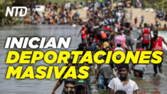 NTD Noticias: Admin. Biden inicia deportaciones; Experto: Biden admite cosas que son inconstitucionales