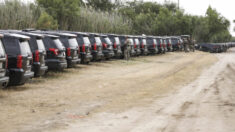 Gob. de Texas envía ‘muro de acero’ de autos para detener a los inmigrantes ilegales en la frontera