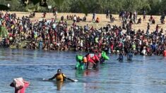 Patrulla Fronteriza de Del Río detiene a más de 700 inmigrantes ilegales