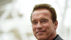 Exgobernador Schwarzenegger arregla bache en Los Ángeles cansado de esperar arreglo por semanas