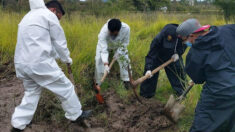 Hallan ocho cadáveres en fosas clandestinas del estado mexicano de Chiapas