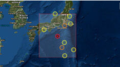Sismo de magnitud 6.2 sacude Japón sin dejar daños