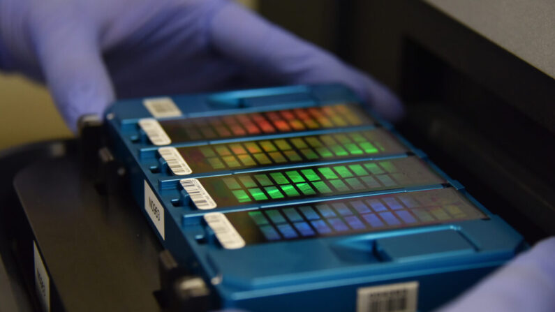 Un técnico coloca una matriz con información de ADN en un escáner en Beijing el 22 de agosto de 2018. (Greg Baker/AFP vía Getty Images)