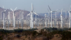 Reciclaje de aspas de turbinas viejas plantea problemas para utilización de energía eólica