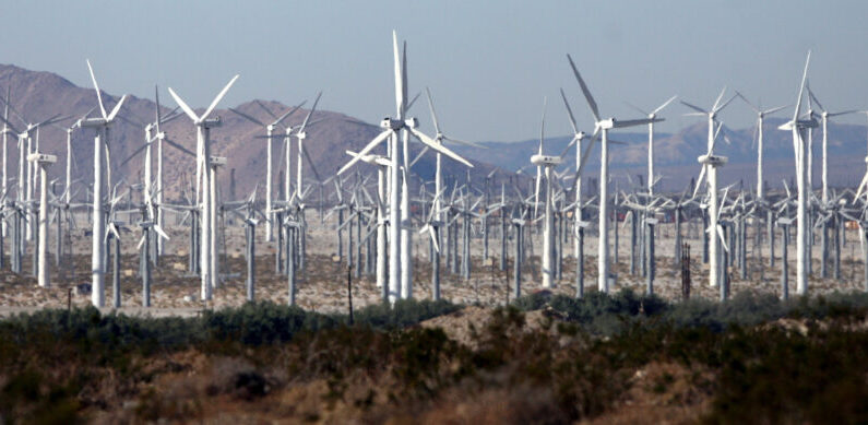 Un parque eólico cerca de Palm Springs, California, el 30 de diciembre de 2006. (Gabriel Bouys/AFP vía Getty Images)