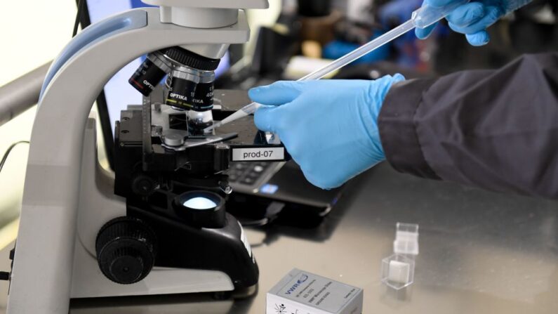 Un científico pone bajo el microscopio muestras de una solución antivirus en un laboratorio de la empresa francesa ProNeem en Marsella, al sureste de Francia, el 14 de enero de 2021. (Nicolas Tucat/AFP vía Getty Images)