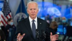 Juez federal impide que Biden use la política de COVID-19 para expulsar a inmigrantes ilegales