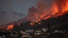 La lava del volcán de La Palma cubre 103 hectáreas y destruye 166 viviendas