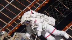 ‘Esto es malo’: Cosmonautas rusos hallan pequeñas grietas en la estación espacial internacional