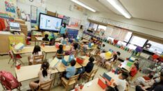 Sindicato de profesores de Nueva York pide pruebas de COVID-19 semanales a menores de 12 años