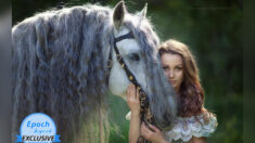 Fotógrafa rusa capta los momentos majestuosos entre humanos y caballos