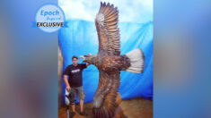 Artista con motosierra esculpe una enorme e impresionante águila que despliega sus alas en vuelo