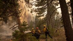 Biden emite una declaración de emergencia en California por el incendio de Caldor