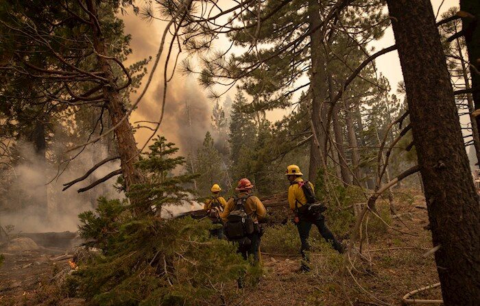 Los bomberos riegan con una manguera las llamas del incendio de Caldor para evitar que llegue a la autopista en Meyers (California) el 31 de agosto de 2021. EFE/EPA/CHRISTIAN MONTERROSA