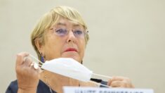 Bachelet informa sobre situación en Venezuela: Persiste pobreza y pide levantar sanciones sectoriales