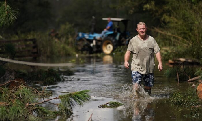 Russell Threeton, un agricultor de fresas, camina a través del agua de la inundación que dejó el huracán Ida en Springfield, Luisiana, el 1 de septiembre de 2021. (Sean Rayford/Getty Images)