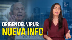 900 páginas revelan nueva información sobre el origen del virus del PCCh