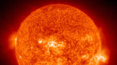 Rara supertormenta solar provocaría “apocalipsis de internet” de varios meses de duración: estudio