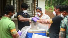 Autoridades indias trabajan para contener el virus Nipah mientras aumentan los contagios