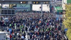 Protestas contra el certificado covid-19 recorren Italia