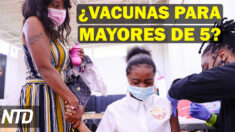 NTD Noticias: Pfizer busca aprobación de vacuna para niños pequeños; Exjugadores de NBA acusados de fraude