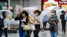 Japón activa máxima alerta ante llegada al país de un tifón “sin precedentes”
