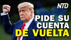 NTD Noticias: Trump pide a juez que Twitter reactive su cuenta; Abbott pide sanciones severas a voto ilegal