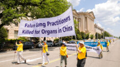 Legislador de UE insta a utilizar comercio para responsabilizar a China de la sustracción de órganos