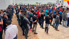 Rescatan a 334 migrantes en el estado mexicano de Veracruz