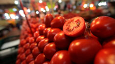 CBP detiene tomates mexicanos de una firma sospechosa de trabajo forzado