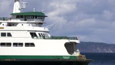 Ferries de Washington sufren interrupción «sin precedentes» durante escasez de empleados: Portavoz