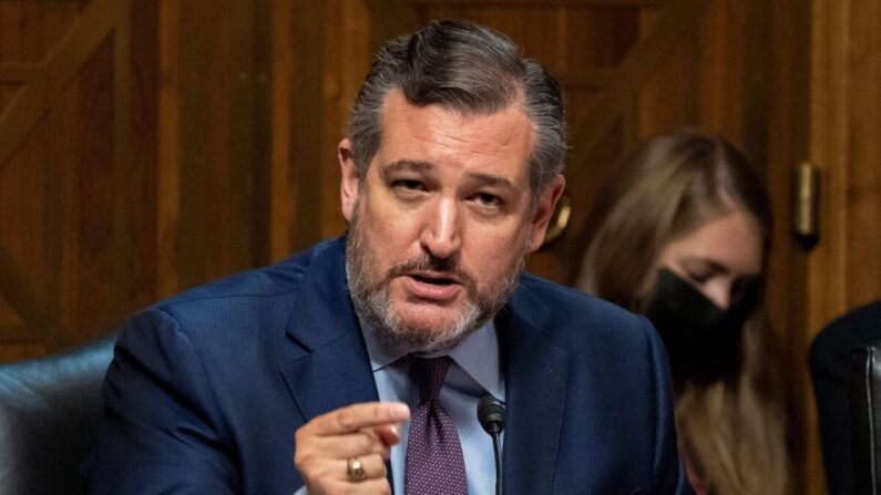 El senador Ted Cruz (R-Texas) en el Capitolio de los Estados Unidos en Washington el 21 de septiembre de 2021. (Ken Cedeno/AFP a través de Getty Images)