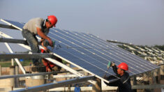Inversores en energía limpia descuidan riesgos para derechos humanos en China, según analista