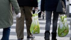 Entra en vigor prohibición de bolsas de plástico de un solo uso en Washington con multas de hasta USD 250