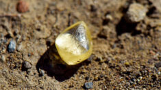 Mujer encuentra diamante amarillo en forma de pera de 4.38 quilates en un parque estatal