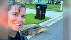 Policía de Florida se toma selfie con caimán sonriente en una alcantarilla