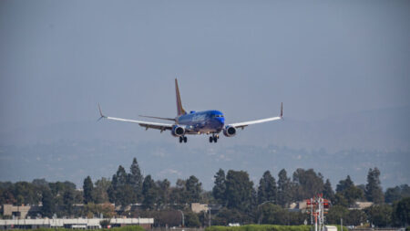 Southwest y American Airlines sufren grandes interrupciones, causando disgusto entre sus pasajeros