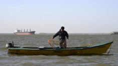 Barcos subsidiados por China cerca de Sudamérica suscitan preocupación por pesca ilegal