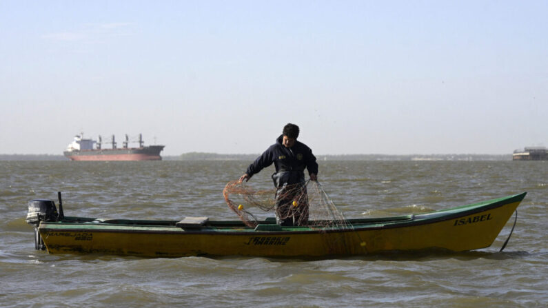 Un pescador artesanal levanta su red de pesca de 200 metros de largo en el río Paraná, frente a la costa de Rosario, Santa Fe, Argentina, el 23 de agosto de 2021. (Juan Mabromata/AFP vía Getty Images)