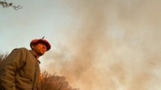 Estudiante y bombero voluntario argentino presenta examen en un descanso, mientras combatía el fuego
