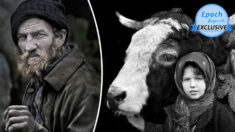 Proyecto fotográfico de 15 años muestra humildes lazos entre pastores de Transilvania y sus rebaños