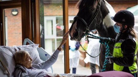 Mujer con cáncer terminal se despide de su caballo y perros antes de fallecer: “Su cara se iluminó”