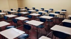 Escuela de Minnesota retira calificación «F» y permite repetir exámenes para combatir «racismo sistémico»