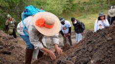 Hallan al menos diez fosas clandestinas en el estado mexicano de Morelos